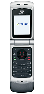Telus Motorola W385