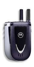 Fido Motorola V66